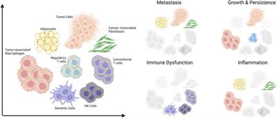 Unravelling the role of obesity and lipids during tumor progression